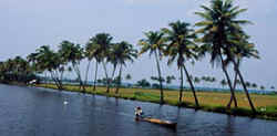 Backwaters in Kollam